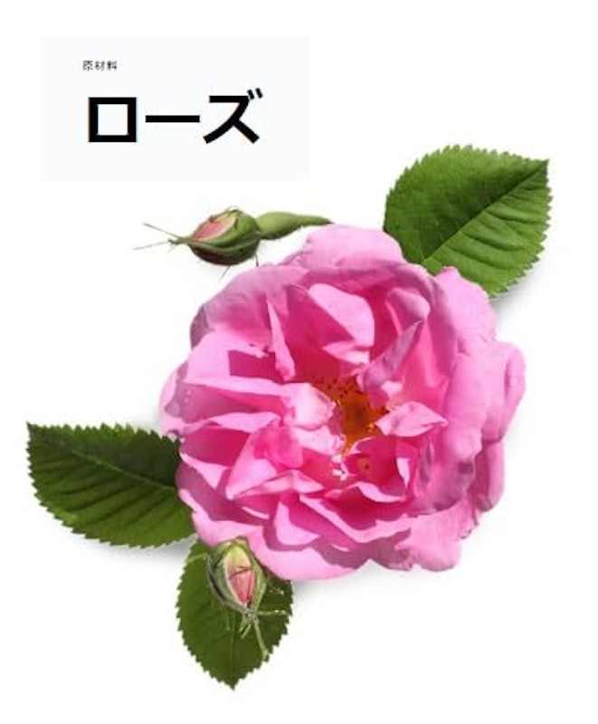 セクシー・ダイナマイト マウスウォッシュ 2