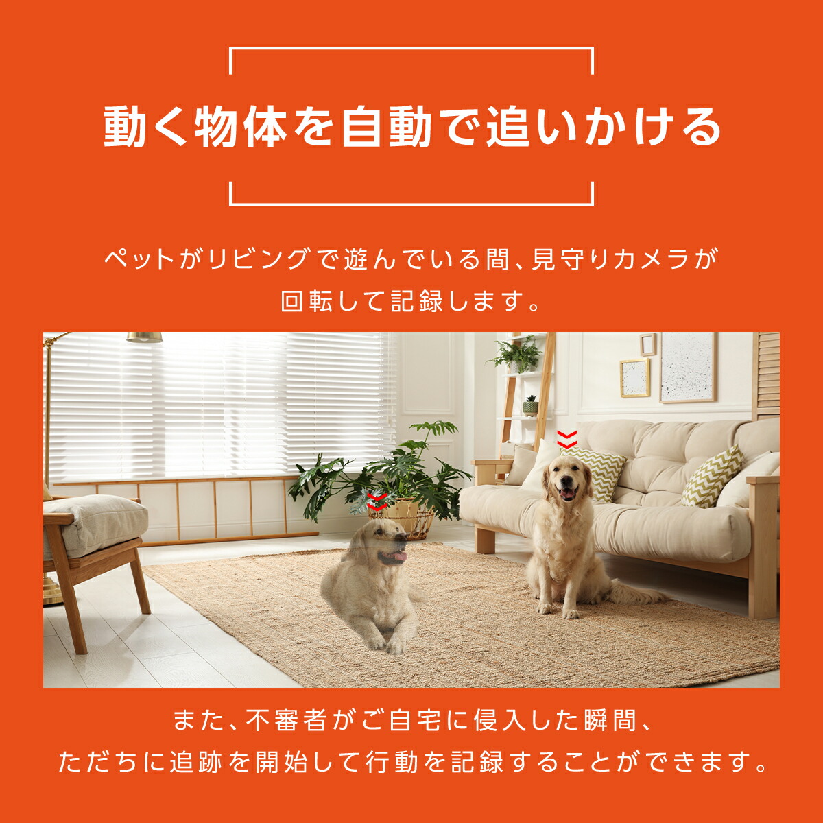 SKYWORTH 防犯カメラ 2