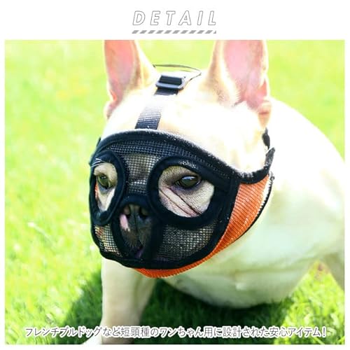 犬用口輪 2