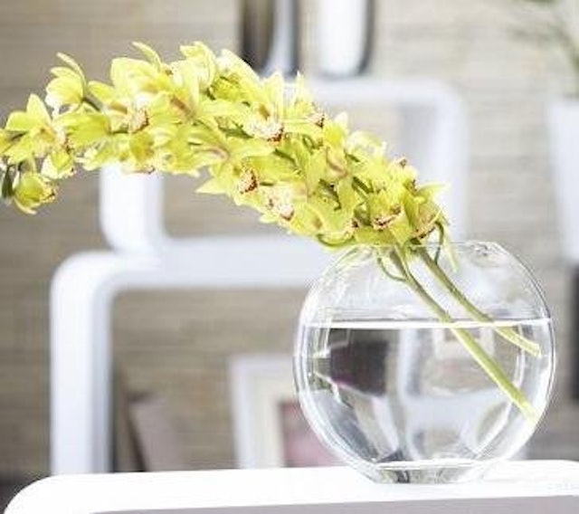 21年 金魚鉢のおすすめ人気ランキング10選 Mybest 21年 金魚鉢のおすすめ人気ランキング10選 Mybest