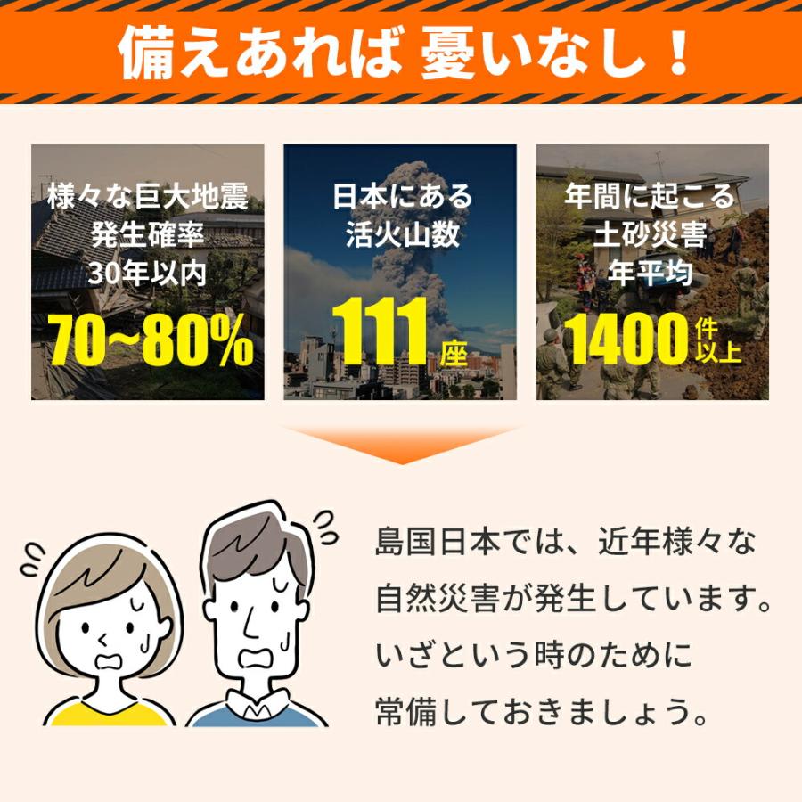  防災電池 単2形 3