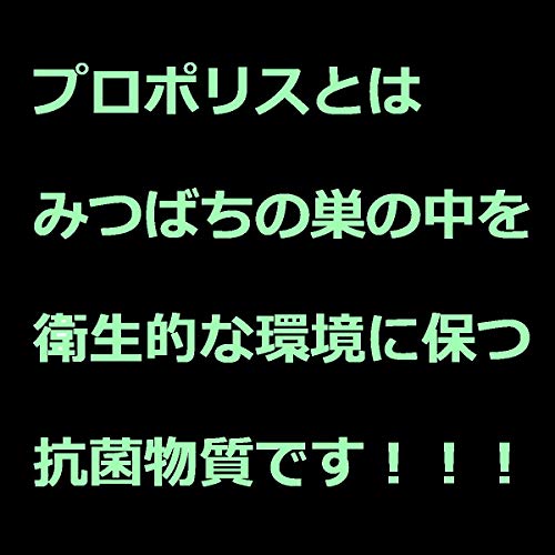 ネオセプデントEX 2