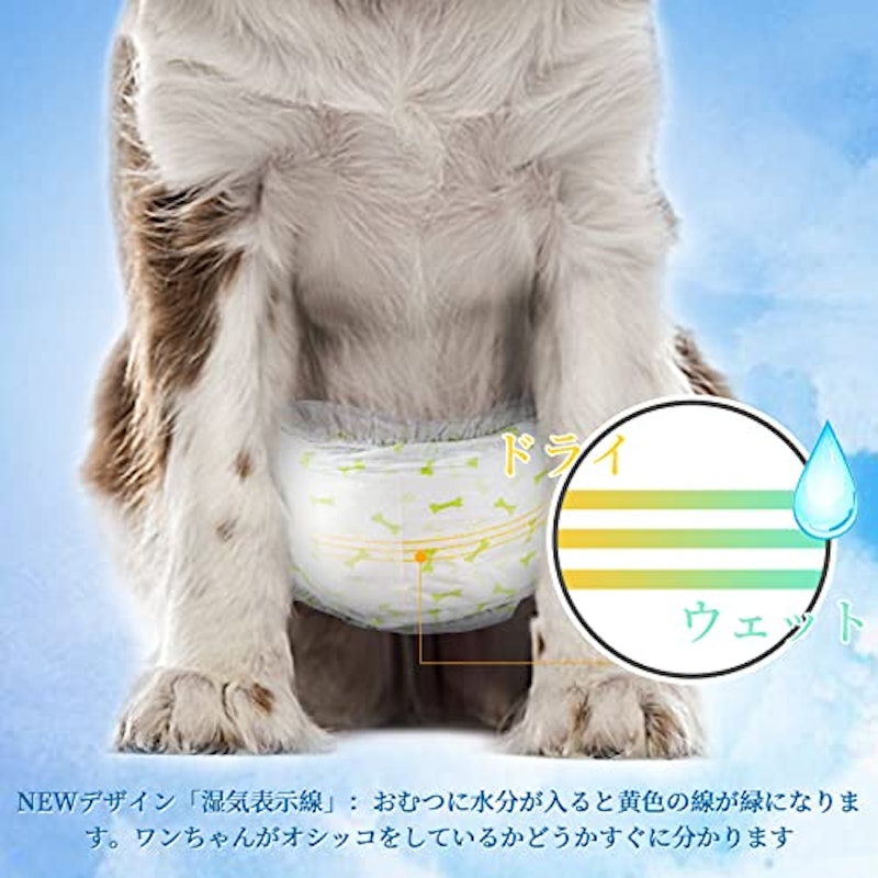 犬 男の子用 マナーベルト 2