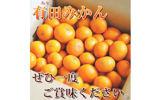 完熟 有田みかん 5