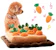jvfeng にんじん畑 1