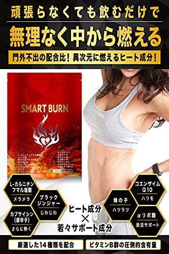 SMART BURN 2