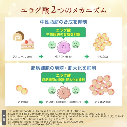 ナイシメンテGOLD 5