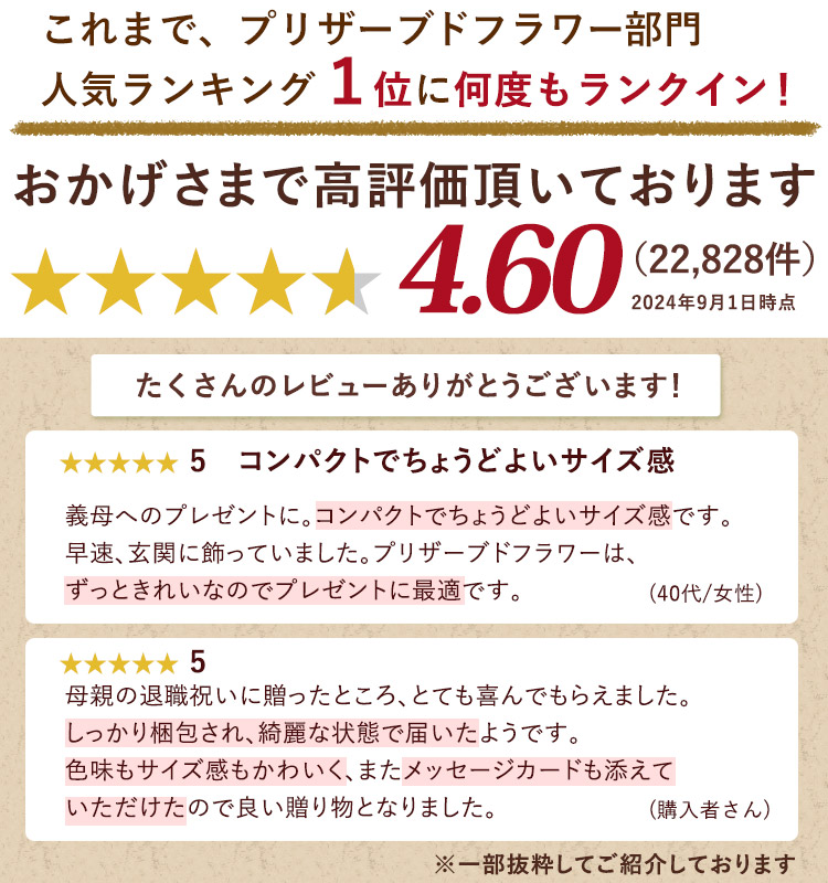 ブリザードフラワー パレット 5