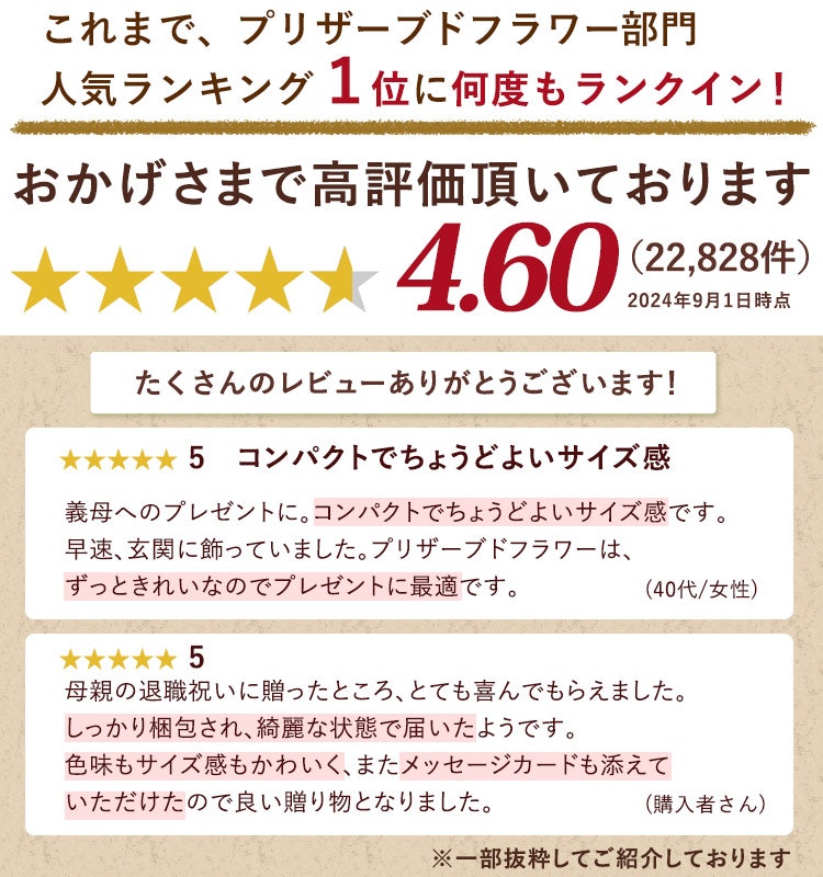 ブリザードフラワー パレット 5