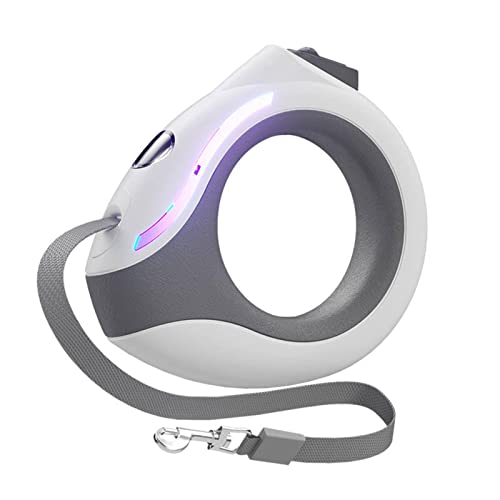 リング型LED付リード 1