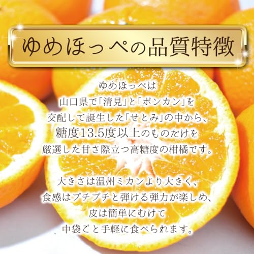  ゆめほっぺ  4