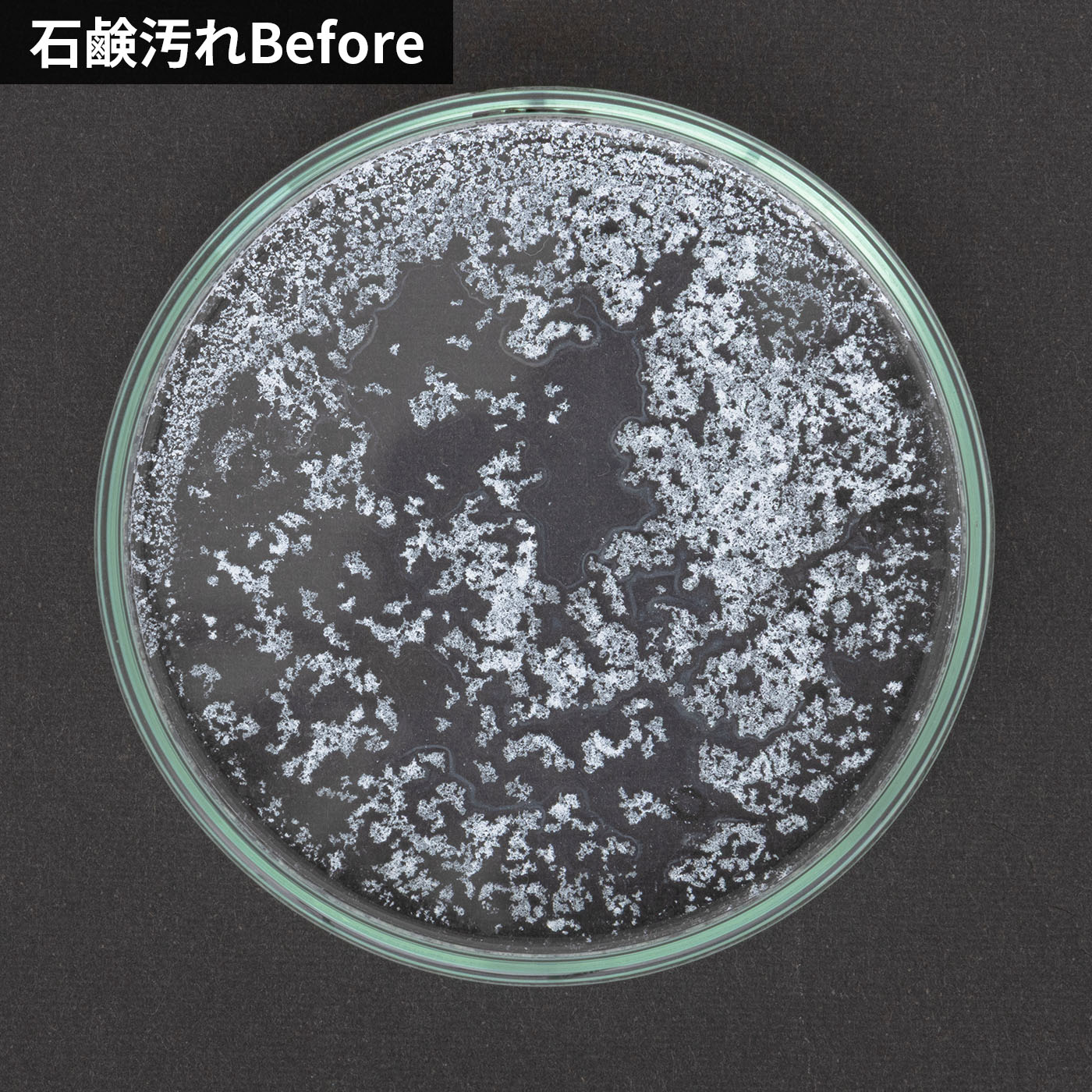 洗濯槽のカビ丸洗浄 6