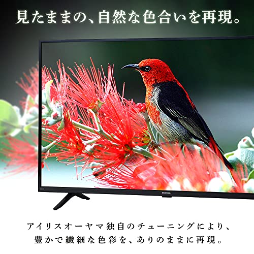 アイリスオーヤマのテレビのおすすめ人気ランキング【2025年 アイリスオーヤマのテレビのおすすめ人気ランキング【2025年
