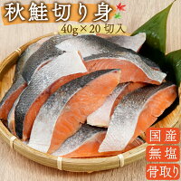 冷凍鮭のおすすめ人気ランキング【2026年6月】 2