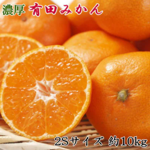 和歌山有田みかん 1