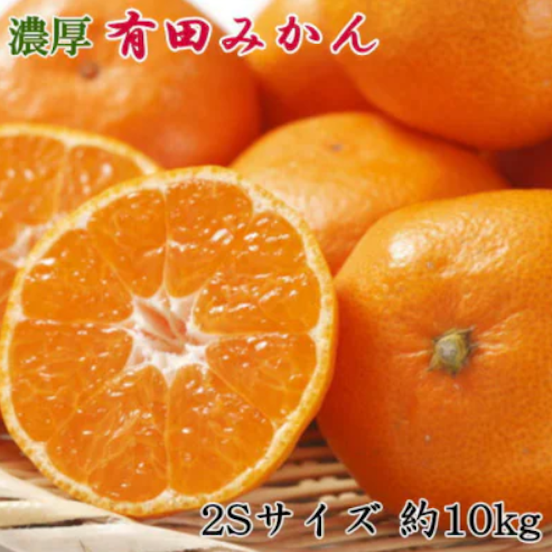 和歌山有田みかん 1
