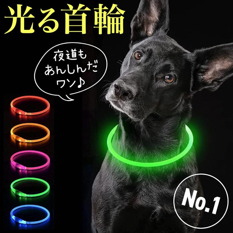 光る首輪 1