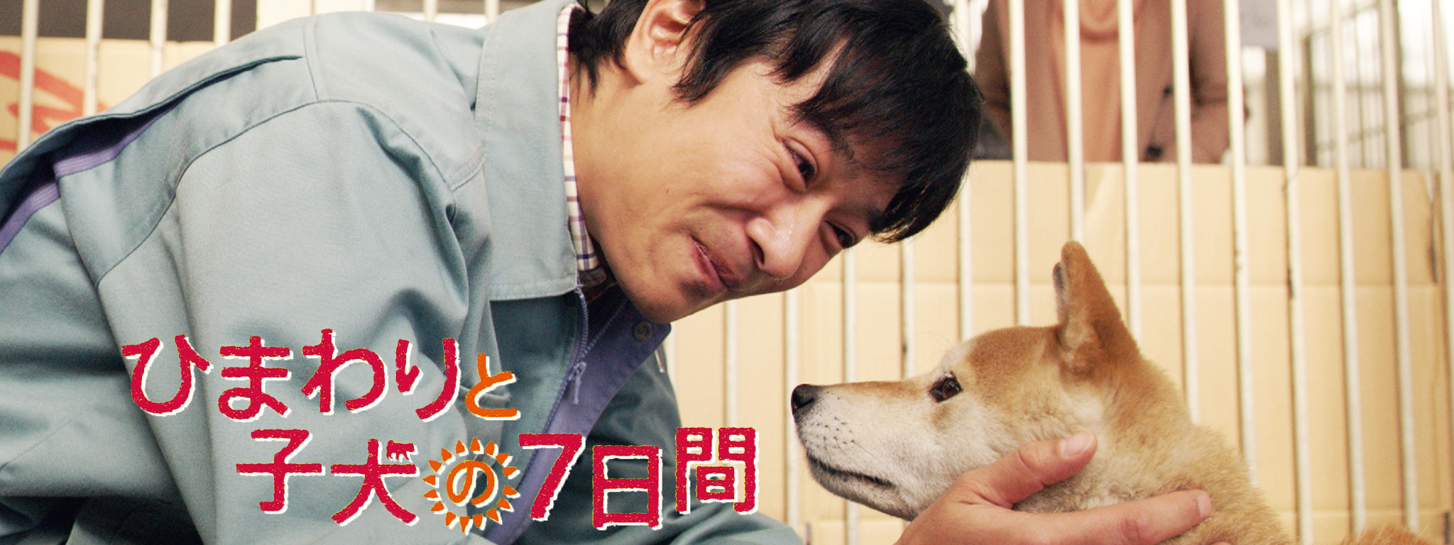 ひまわりと子犬の7日間 1