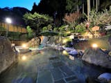 洞窟風呂がある温泉宿のおすすめ人気ランキング【2026年5月】 2