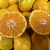 無農薬みかんのおすすめ人気ランキング【2026年7月】 5