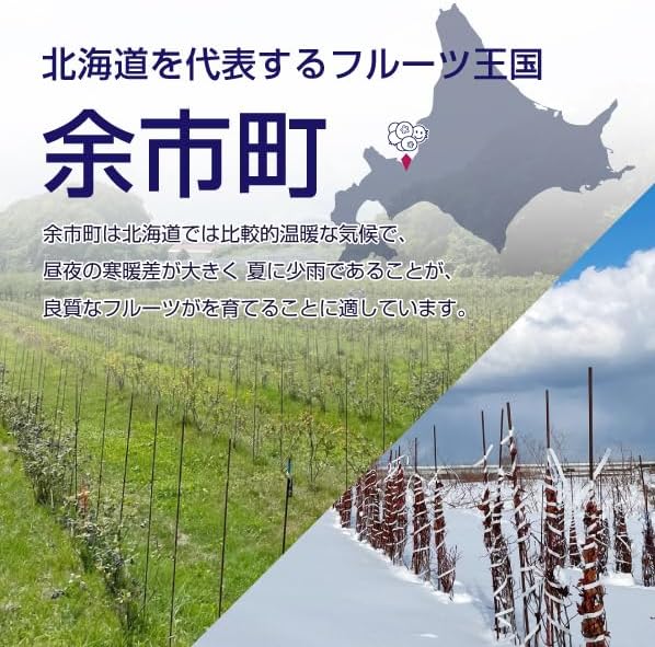 冷凍ブルーベリー 5