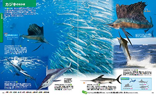 22年 魚図鑑のおすすめ人気ランキング選 Mybest