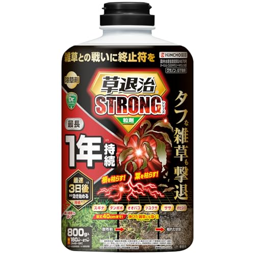 クサノンGT粒剤 1