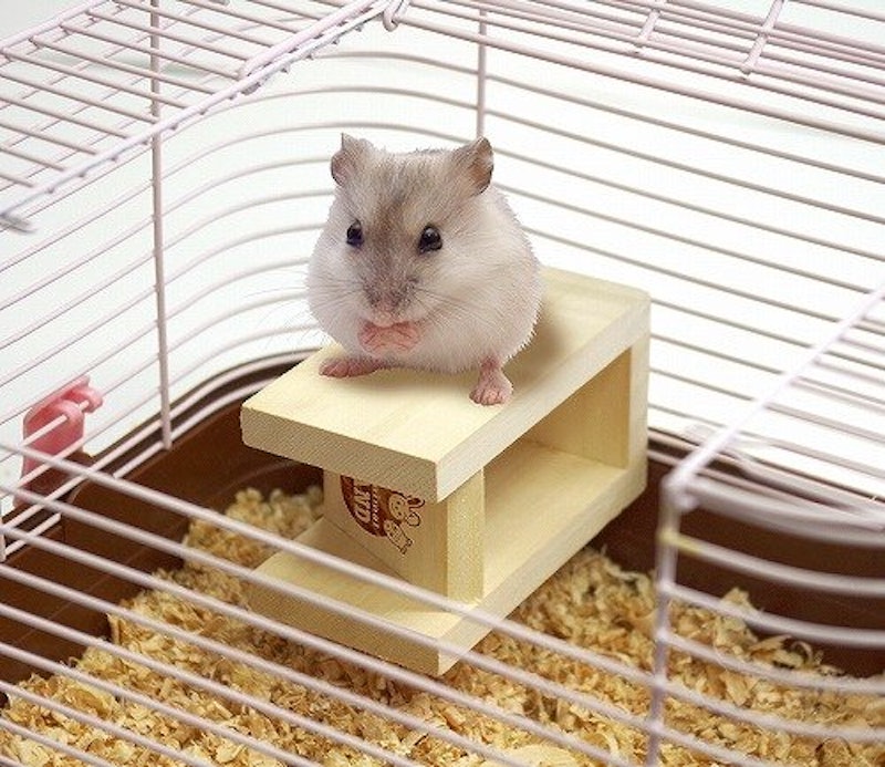 あっちもこっちもかじり木スタンド 5