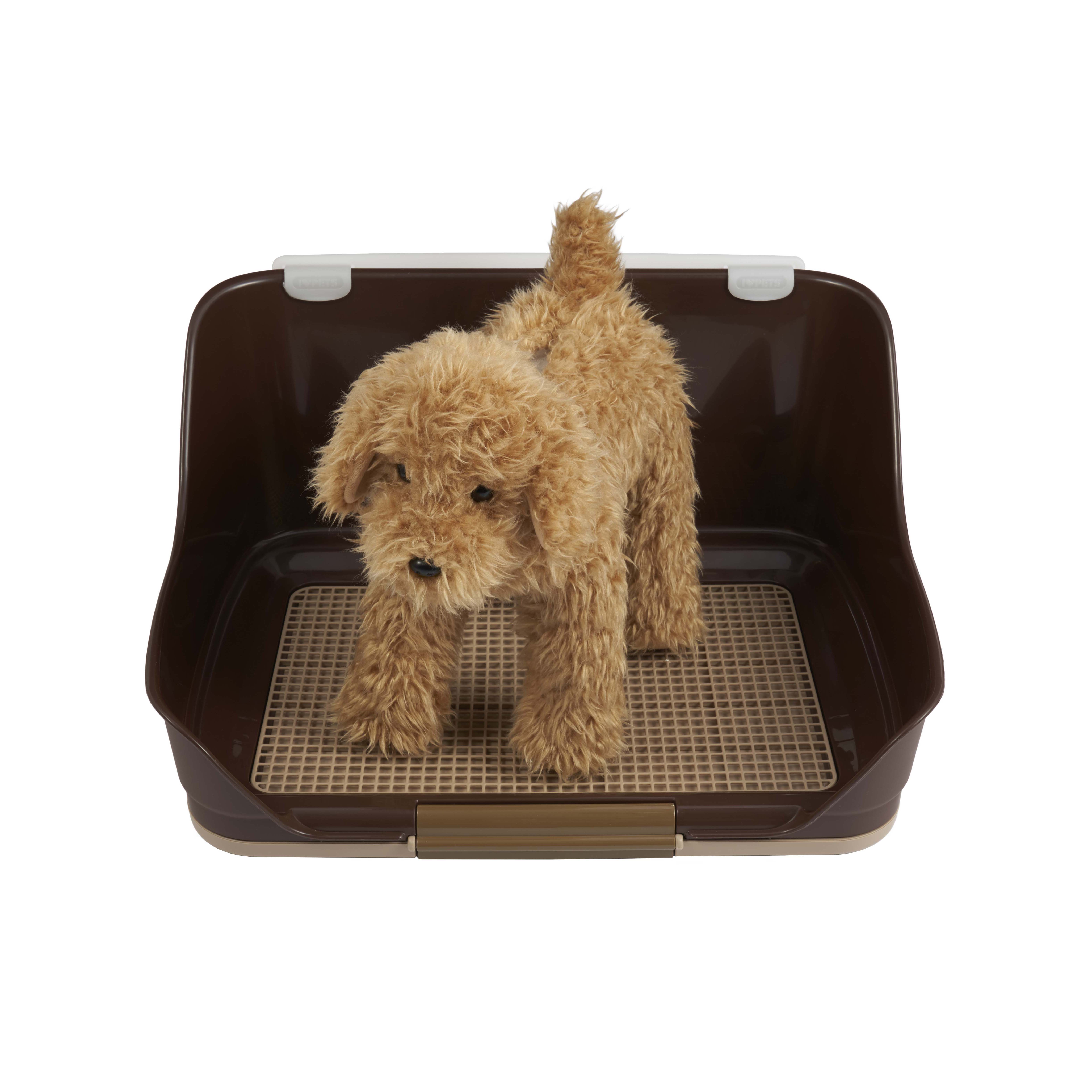 しつけるウォールトレーM ブラウン ( M , ブラウン ) 中国