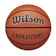 Wilson Sporting Goods EVOLUTION 1