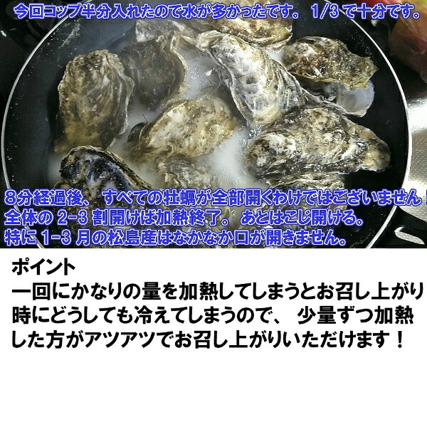 生食用冷凍牡蠣 殻付き 10