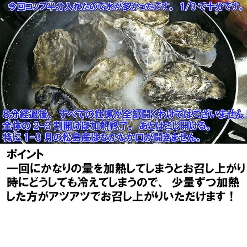 生食用冷凍牡蠣 殻付き 10