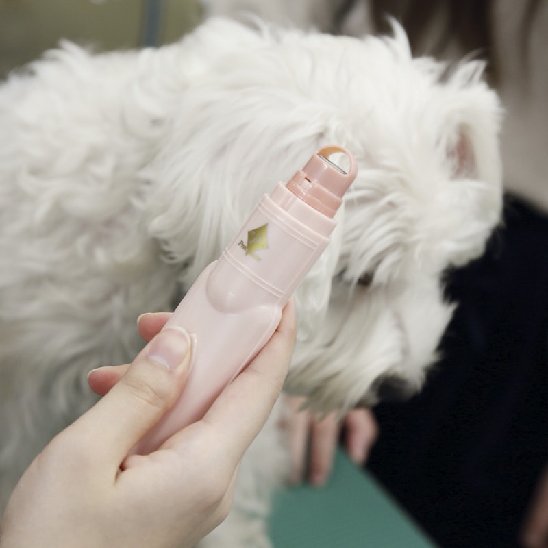 徹底比較 犬用爪切りのおすすめ人気ランキング17選 ギロチン 電動も Mybest 徹底比較 犬用爪切りのおすすめ人気ランキング17選 ギロチン 電動も Mybest