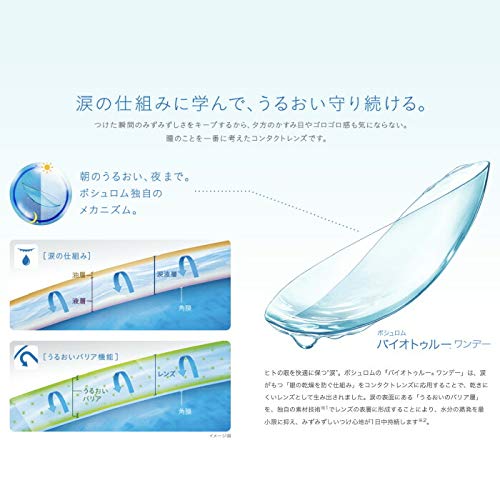 ワンデー 2