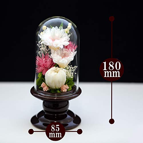 仏花ミニ輪菊glassプリザーブドフラワー 3