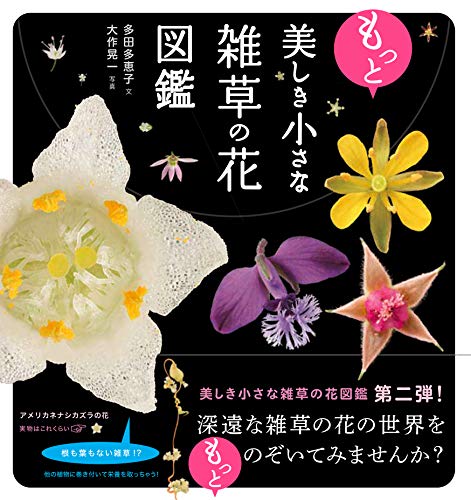 もっと美しき小さな雑草の花図鑑 1