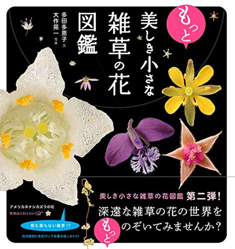 もっと美しき小さな雑草の花図鑑 1