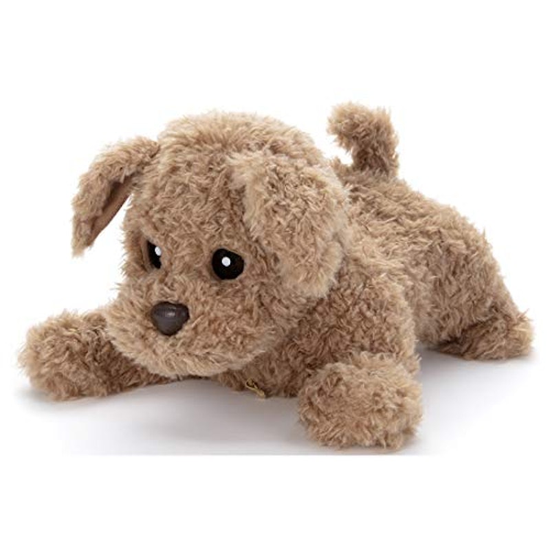 22年 コミュニケーションロボットのおすすめ人気ランキング15選 Mybest 22年 コミュニケーションロボットのおすすめ人気ランキング15選 Mybest