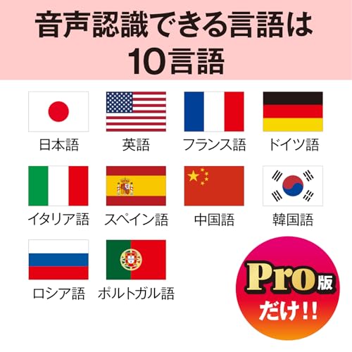 Voice Rep Pro 4 6