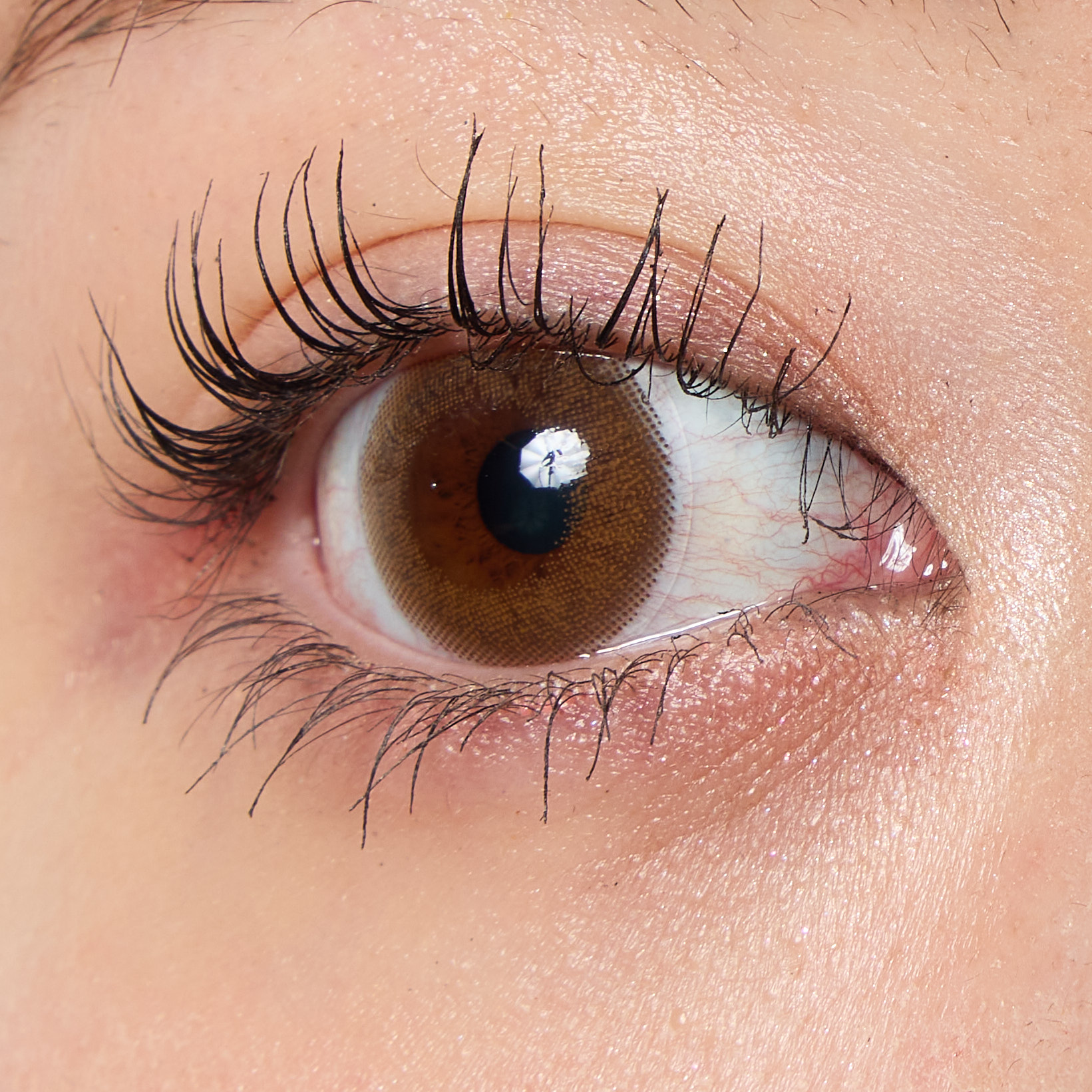 ウォンジョンヨ　ヌードアイラッシュ　マスカラ　７色 限定色レビュー】ウォンジョンヨ ヌードアイラッシュ｜Wonjungyo