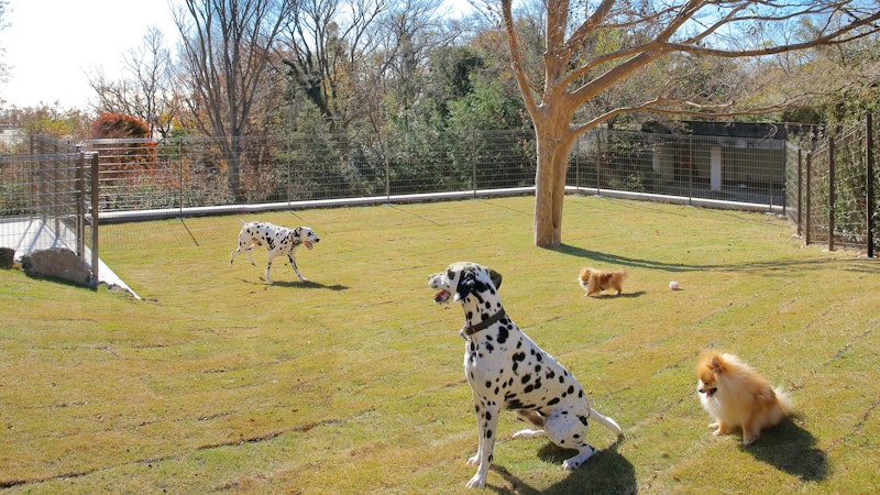 ラ・ドッグリゾート 伊豆高原 全室露天付き客室と部屋食の愛犬の宿 4