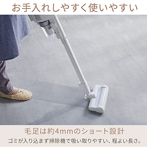 フランネルラグ 3