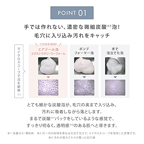 イオンフェイシャルブラシ 10