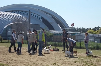 22年 東京都内のドッグランのおすすめ人気ランキング選 Mybest