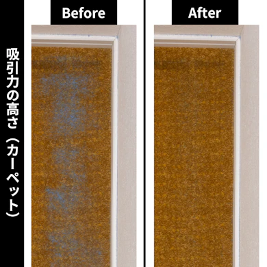 カーペットの取り残しはごく一部。奥に沈む細かな砂だけ