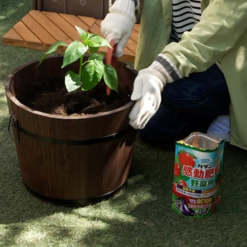 感動肥料野菜用 5
