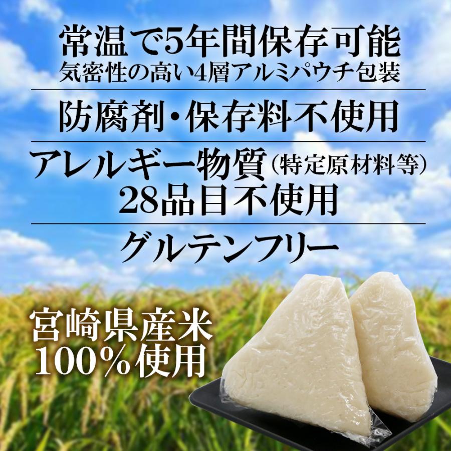 備蓄用 日本おにぎり 3