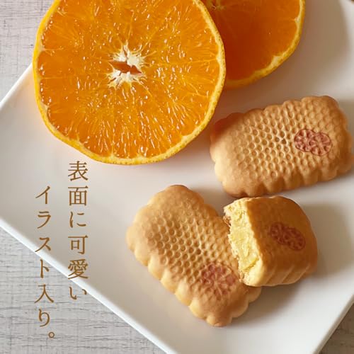 ベビー母恵夢 愛媛のせとか 6