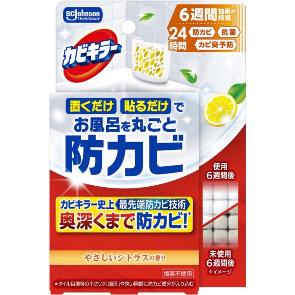 防カビ剤のおすすめ人気ランキング【2026年6月】 4