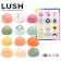 Lush Retail 四季の一服 1